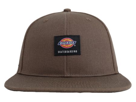 Dickies Skateboarding Flat Bill Cap - Mushroom Online Sale